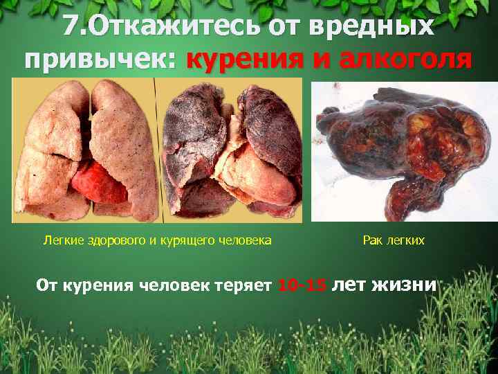 7. Откажитесь от вредных привычек: курения и алкоголя Легкие здорового и курящего человека Рак