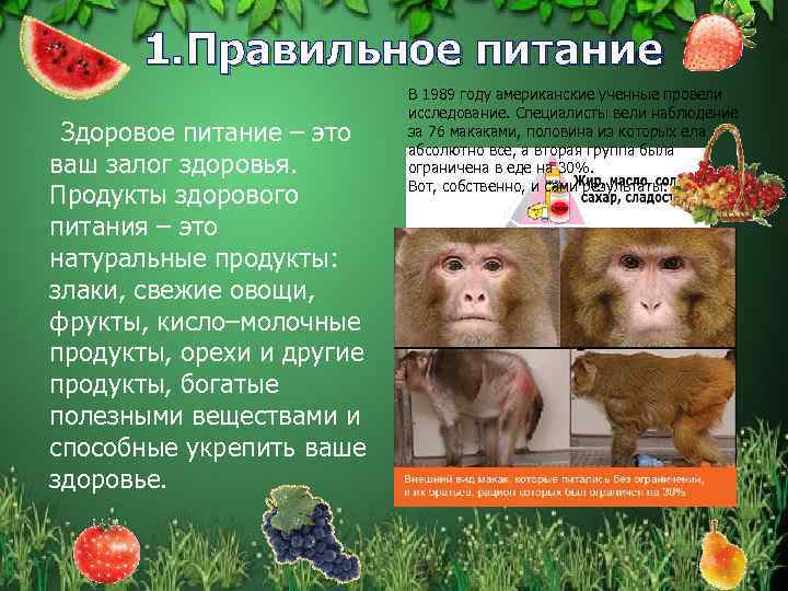  1. Правильное питание Здоровое питание – это ваш залог здоровья. Продукты здорового питания
