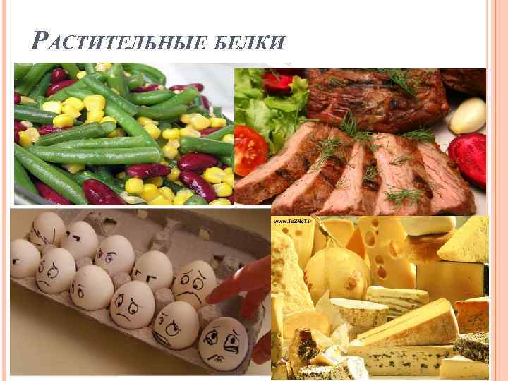 РАСТИТЕЛЬНЫЕ БЕЛКИ 
