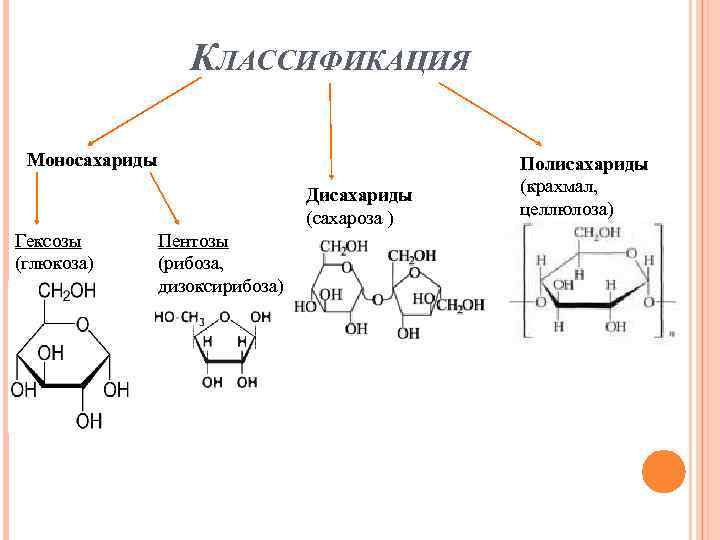 КЛАССИФИКАЦИЯ Моносахариды Дисахариды (сахароза ) Гексозы (глюкоза) Пентозы (рибоза, дизоксирибоза) Полисахариды (крахмал, целлюлоза) 