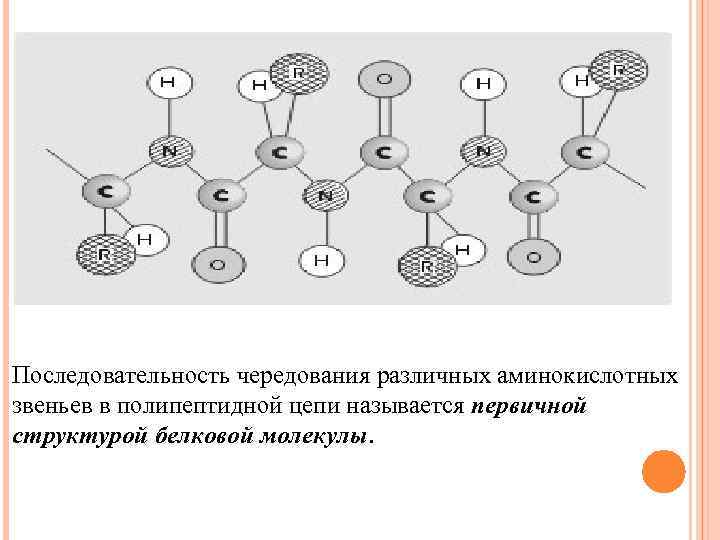 Блок схема дистрофия бжу