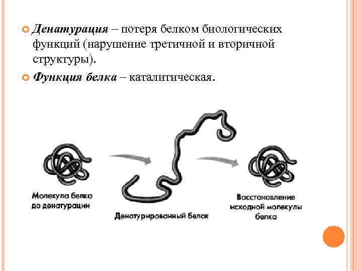 Схема расщепления белков жиров и углеводов