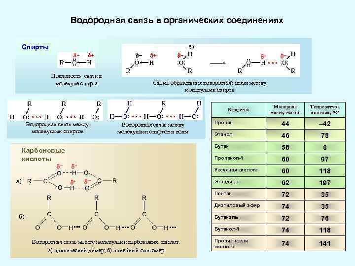 Водородная связь в органических соединениях Спирты + Полярность связи в молекуле спирта ─ Схема