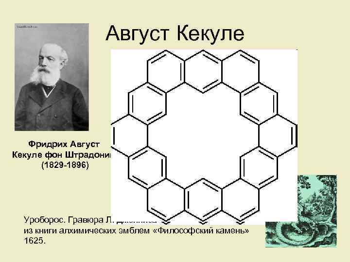 Август Кекуле Фридрих Август Кекуле фон Штрадониц (1829 -1896) 1865 г. – строение бензола