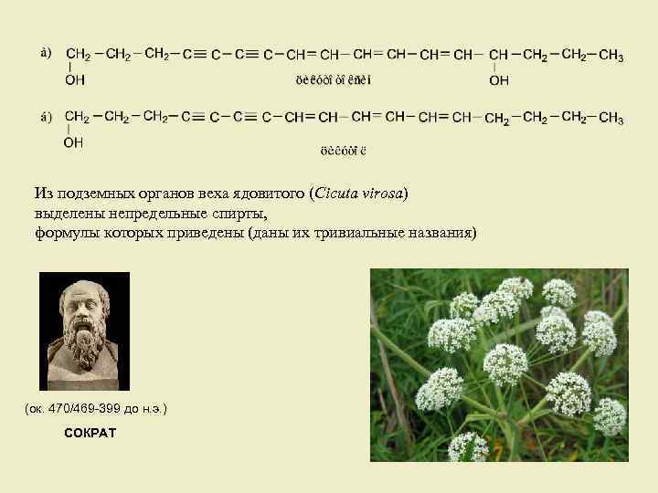 Из подземных органов веха ядовитого (Cicuta virosa) выделены непредельные спирты, формулы которых приведены (даны