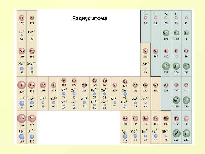 Радиус атома c n. Атомный радиус в таблице Менделеева. Таблица атомных радиусов химических элементов. Радиус атома в таблице Менделеева. Радиусы атомов химических элементов.
