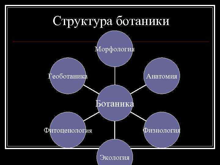 Связь биологии с другими науками