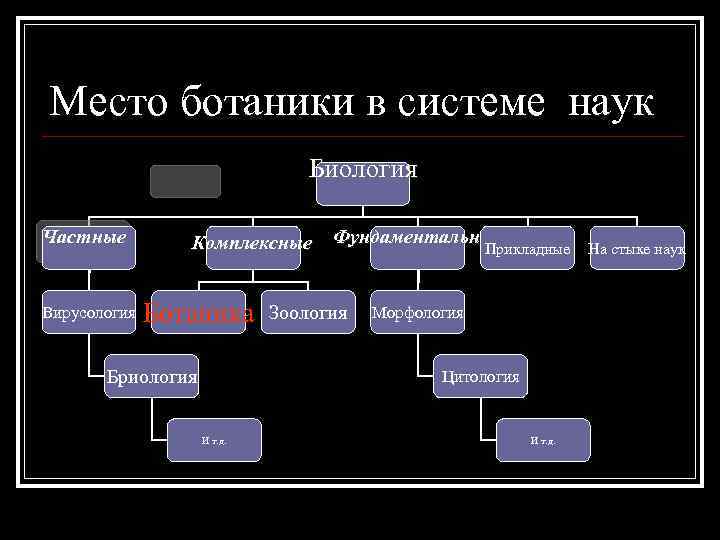 Место ботаники в системе наук Биология Частные Вирусология Комплексные Ботаника Бриология Фундаментальные Прикладные Зоология