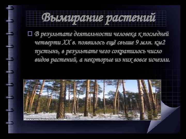 Вымирание растений o В результате деятельности человека к последней четверти XX в. появилось ещё