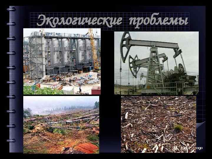 Экологические проблемы Company Logo 