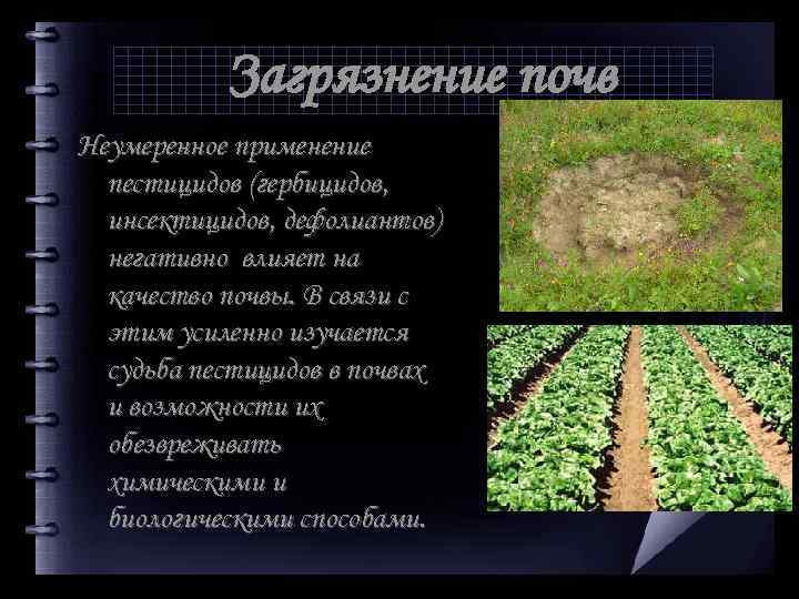 Загрязнение почв Неумеренное применение пестицидов (гербицидов, инсектицидов, дефолиантов) негативно влияет на качество почвы. В