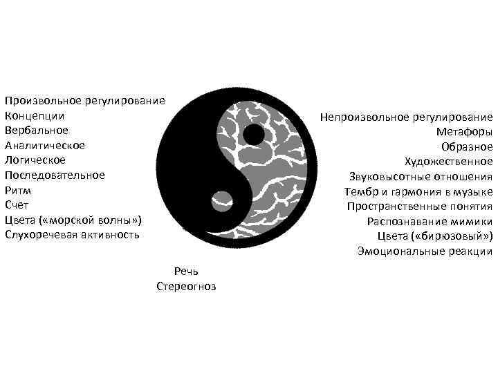 Произвольное регулирование Концепции Вербальное Аналитическое Логическое Последовательное Ритм Счет Цвета ( «морской волны» )