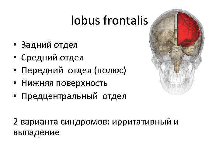 План поражения тухачевского