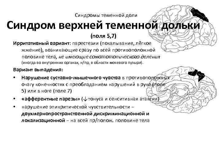 Синдромы теменной доли Синдром верхней теменной дольки (поля 5, 7) Ирритативный вариант: парестезии (покалывание,