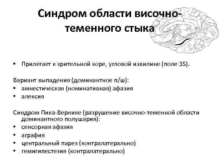 Синдром области височнотеменного стыка • Прилегает к зрительной коре, угловой извилине (поле 35). Вариант