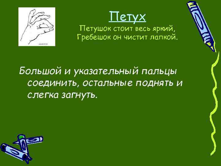 Петух Петушок стоит весь яркий, Гребешок он чистит лапкой. Большой и указательный пальцы соединить,