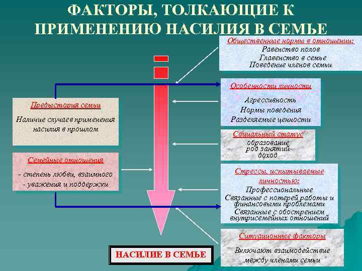 ФАКТОРЫ, ТОЛКАЮЩИЕ К ПРИМЕНЕНИЮ НАСИЛИЯ В СЕМЬЕ Общественные нормы в отношении: Равенство полов Главенство