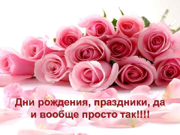 Дни рождения, праздники, да и вообще просто так!!!! 