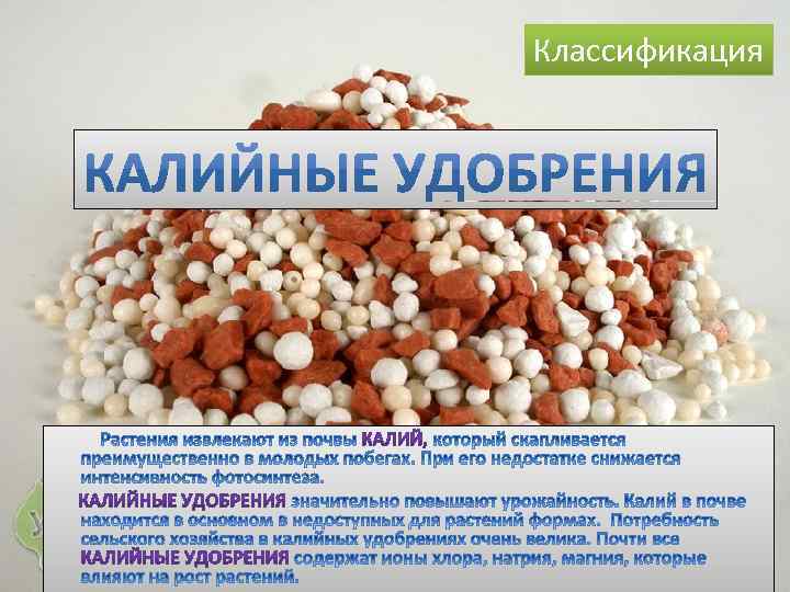 Классификация 