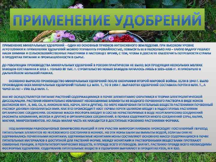 Минеральные удобрения польза и вред проект