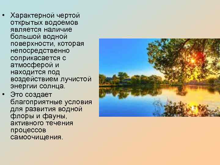  • Характерной чертой открытых водоемов является наличие большой водной поверхности, которая непосредственно соприкасается