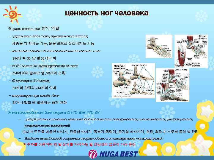 v роль наших ног 발의 역할 − удержание веса тела, продвижение вперед 체중을 떠