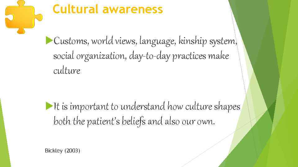 Cultural awareness Customs, world views, language, kinship system, social organization, day-to-day practices make culture