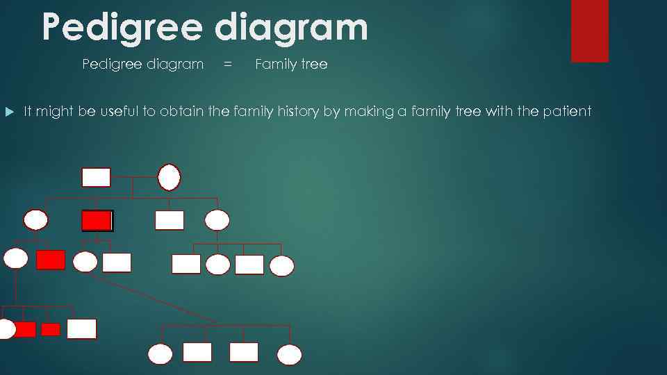 Pedigree diagram = Family tree It might be useful to obtain the family history