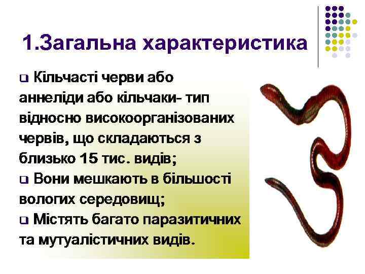 1. Загальна характеристика 