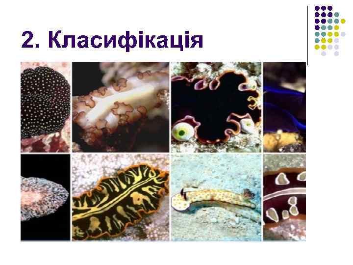 2. Класифікація 