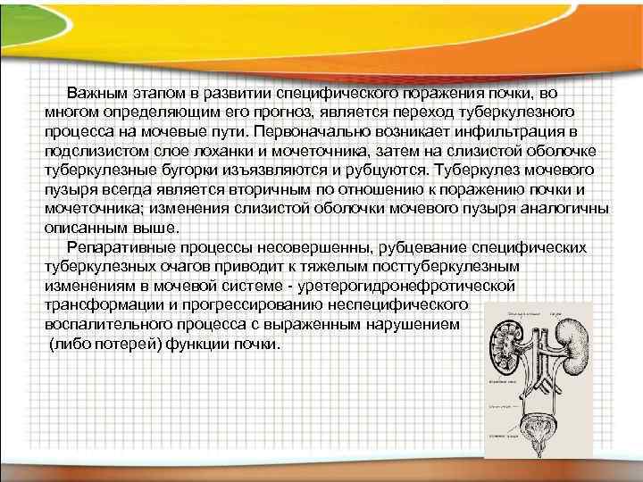  Важным этапом в развитии специфического поражения почки, во многом определяющим его прогноз, является