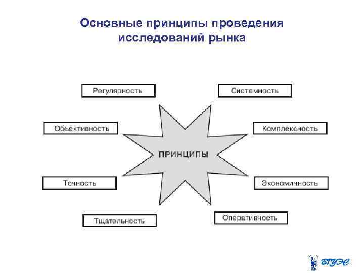 Основные принципы проведения