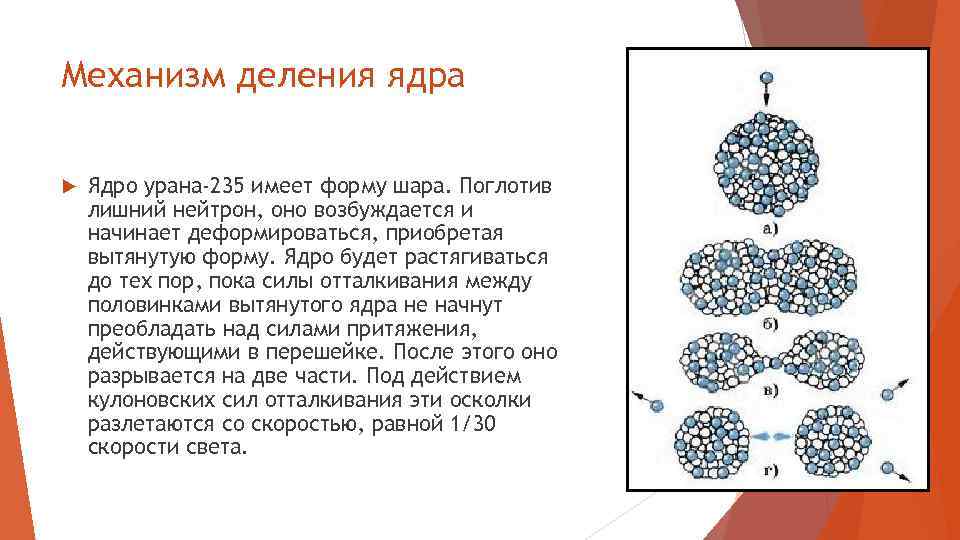 Механизм деления ядра Ядро урана-235 имеет форму шара. Поглотив лишний нейтрон, оно возбуждается и