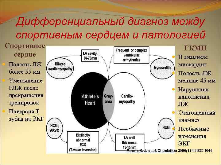 Дифференциальный диагноз между спортивным сердцем и патологией Спортивное сердце Полость ЛЖ более 55 мм