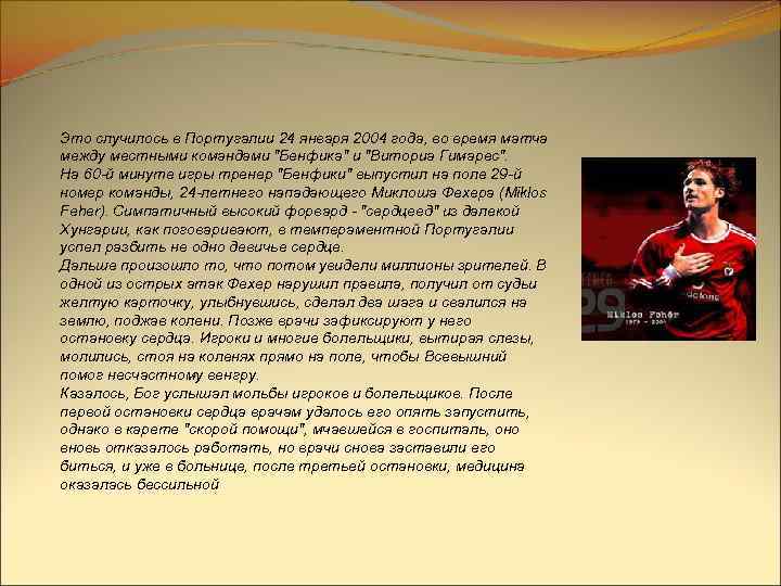 Это случилось в Португалии 24 января 2004 года, во время матча между местными командами