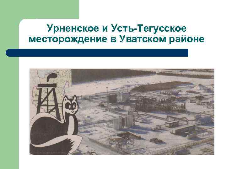 Урненское и Усть-Тегусское месторождение в Уватском районе 