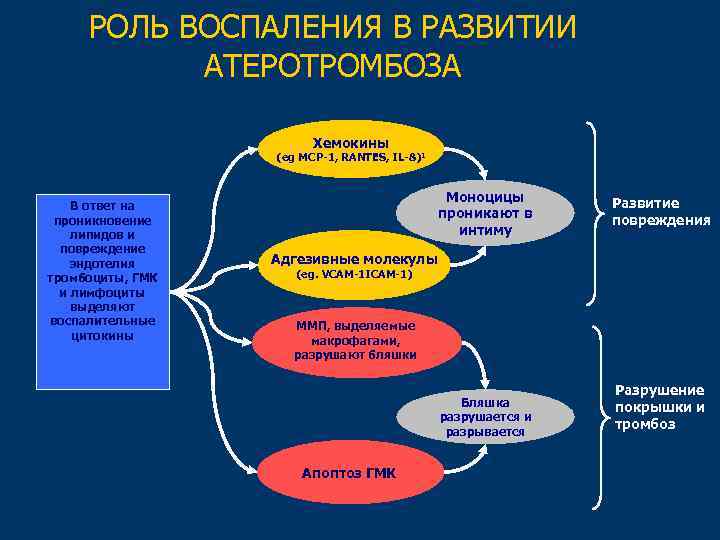 РОЛЬ ВОСПАЛЕНИЯ В РАЗВИТИИ АТЕРОТРОМБОЗА Хемокины (eg MCP-1, RANTES, IL-8)1 В ответ на проникновение