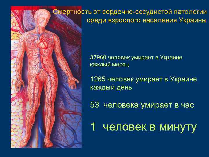Смертность от сердечно-сосудистой патологии среди взрослого населения Украины 37960 человек умирает в Украине каждый
