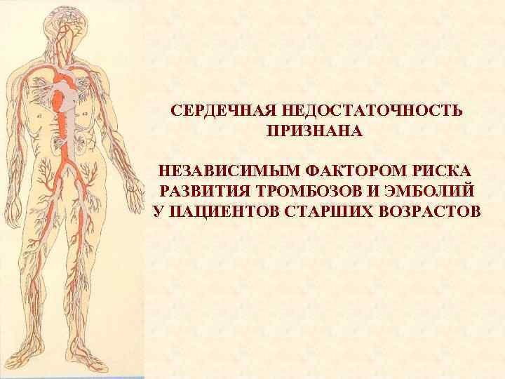 СЕРДЕЧНАЯ НЕДОСТАТОЧНОСТЬ ПРИЗНАНА НЕЗАВИСИМЫМ ФАКТОРОМ РИСКА РАЗВИТИЯ ТРОМБОЗОВ И ЭМБОЛИЙ У ПАЦИЕНТОВ СТАРШИХ ВОЗРАСТОВ