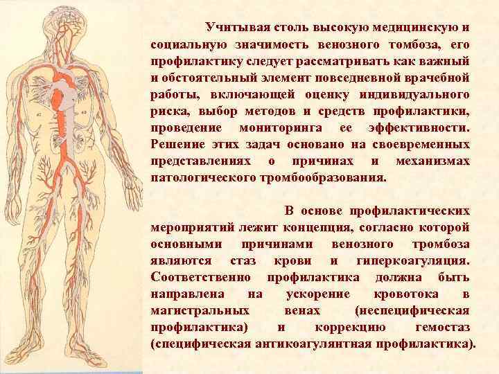  Учитывая столь высокую медицинскую и социальную значимость венозного томбоза, его профилактику следует рассматривать