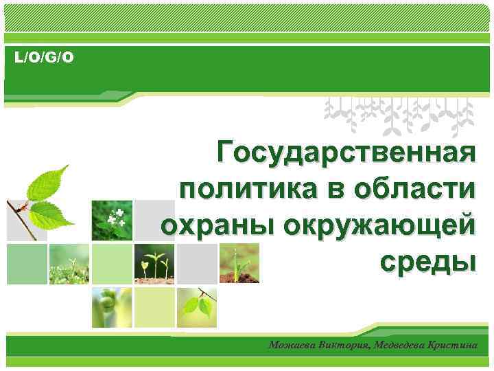 Политика государства в области охраны окружающей среды проект по обществу