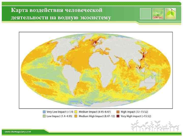 Карта воздействия человеческой деятельности на водную экосистему www. themegallery. com 