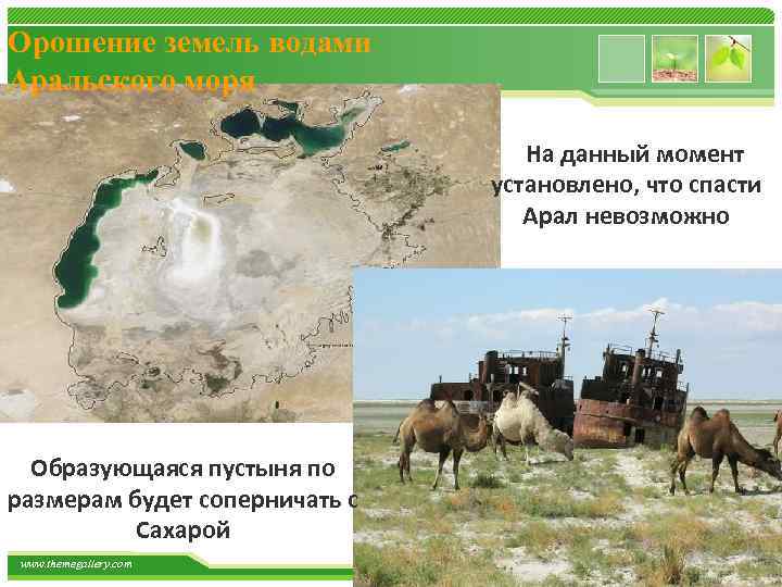 Орошение земель водами Аральского моря На данный момент установлено, что спасти Арал невозможно Образующаяся
