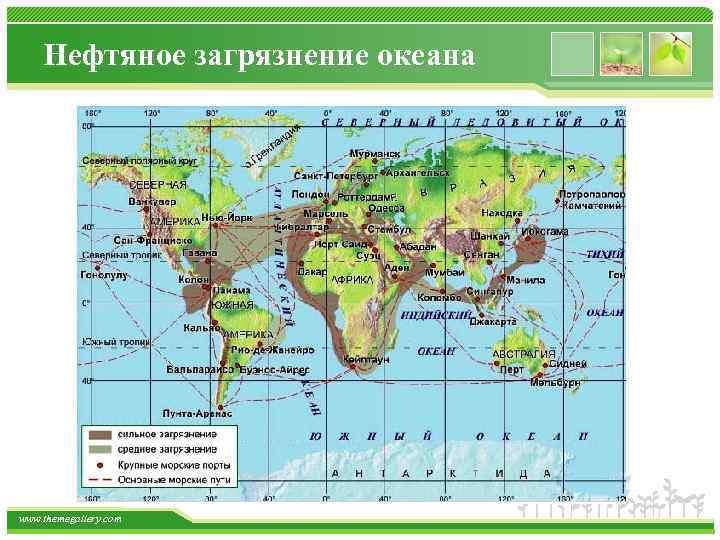 Нефтяное загрязнение океана www. themegallery. com 