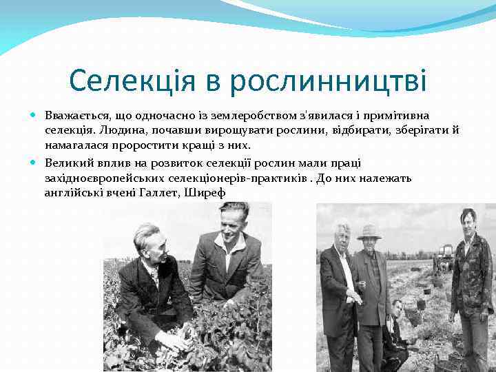 Селекція в рослинництві Вважається, що одночасно із землеробством з'явилася і примітивна селекція. Людина, почавши