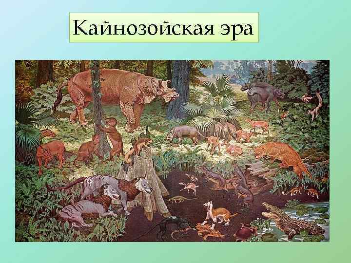 Кайнозойская эра 