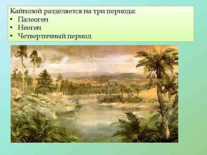 Кайнозой разделяется на три периода: • Палеоген • Неоген • Четвертичный период 