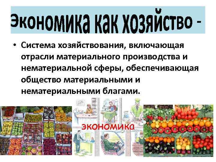  • Система хозяйствования, включающая отрасли материального производства и нематериальной сферы, обеспечивающая общество материальными