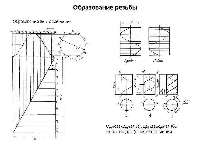 Образование резьбы Образование винтовой линии Однозаходная (а), двухзаходная (б), трехзаходная (в) винтовые линии 