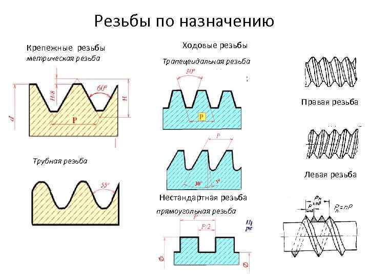 Резьбы по назначению Крепежные резьбы метрическая резьба Ходовые резьбы Трапецеидальная резьба Правая резьба Трубная